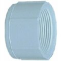 Genova Products Cap 3/4 Fip Pvc F01970D